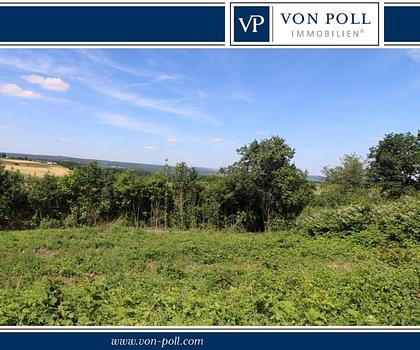 Süd-West Hanggrundstück mit einzigartigem Ausblick