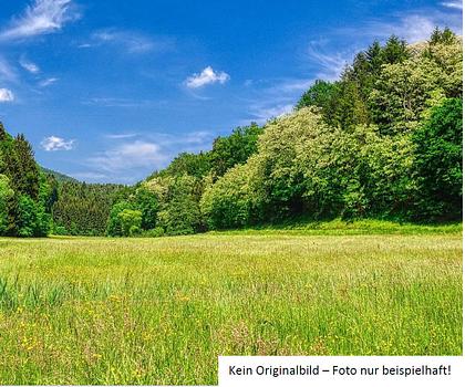 Landwirtschaftliche Flächen und Wald
in der Gemeinde Unterhaid