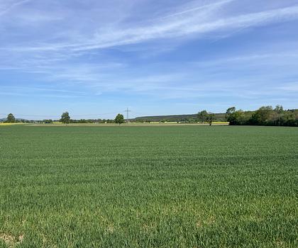 Landwirtschaftliche Fläche in Hirschaid