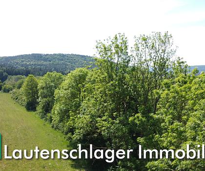 Natur Pur!
Optimale Ausgleichsfläche bei Berching