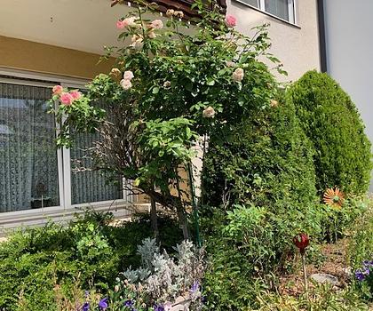 Wohnidylle ... 
Doppelhaushälfte mit gemütlichem Ambiente ...