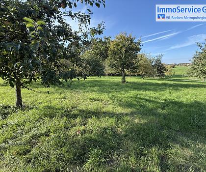 2 Landwirtschaftliche Fläche: Ein Acker mit fünf Obstbäumen und reiner Obstgarten