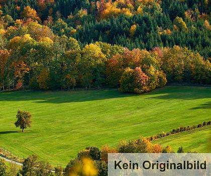Landwirtschaftliche Flächen in der Gemarkung Behringersmühle
