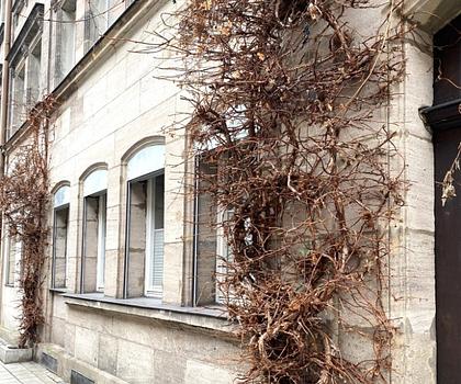 Wohnglück in der City ... 
Geschäfte und nette Restaurants, alles in Ihrer Nähe ...