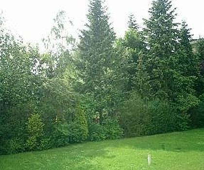 Kapitalanlage oder Eigenbezug ... 
Attraktives Apartment in Fürth- Ronhof ...