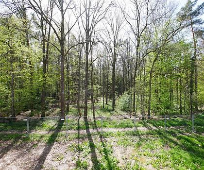 Waldrandlage + EFH als 5-Zi.-Neubau-ETW + 115 m² Wfl. + 2 Bäder + Wärmepumpe - FB-Heizung  + Schlüsselfertig + PROVISIONSFREI für Käufer