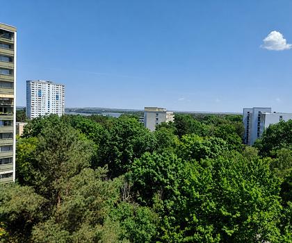 Großzügiges 1-Zimmer-Appartement mit Balkon in N-Langwasser